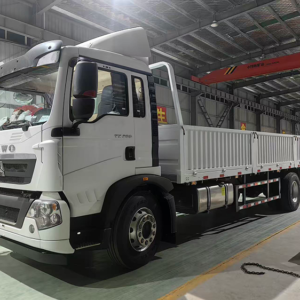SINOTRUK HOWO TX 4×2 Cargo Truck