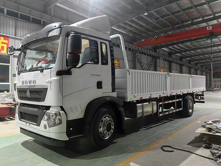SINOTRUK HOWO TX 4×2 Cargo Truck